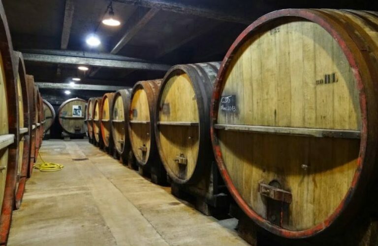 Rangées de grands foudres en bois dans une cave viticole du Jura