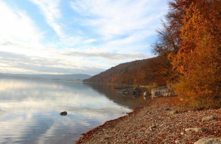 Rive du lac de Chalain bordée d’arbres aux couleurs d’automne