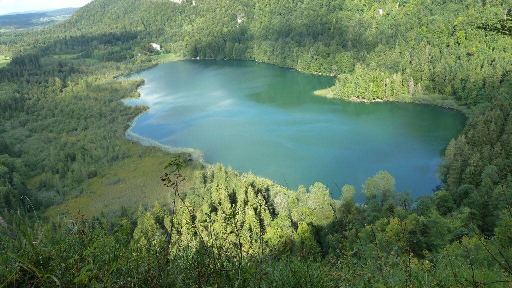 Lac de Bonlieu entouré de forêts dans le Jura