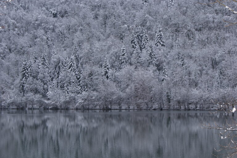 Lac du Jura bordé d’une forêt enneigée en hiver