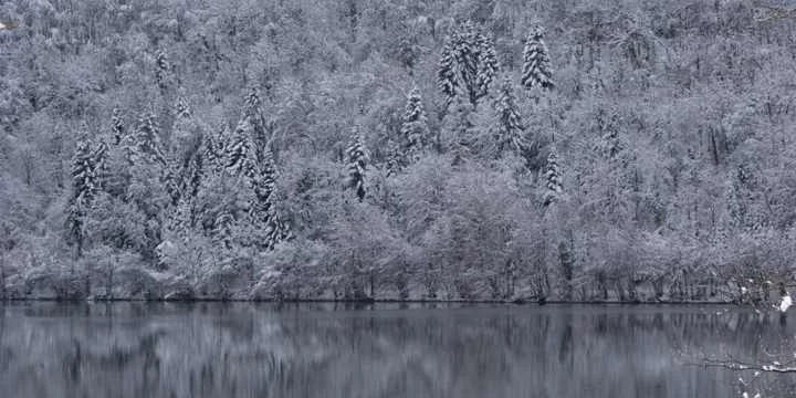 Lac du Val bordé de forêt enneigée en hiver dans le Jura