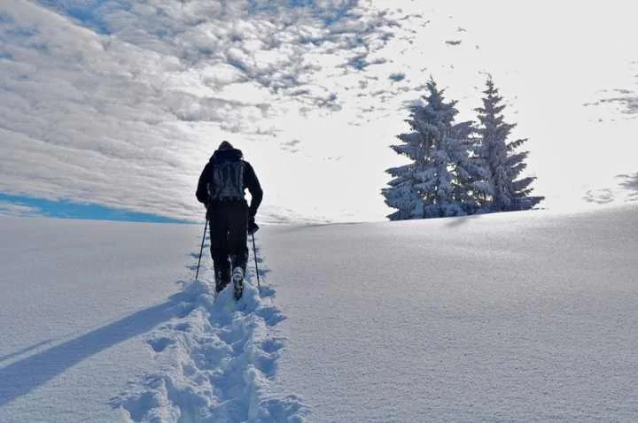 Randonnée en raquettes dans la neige du Grandvaux