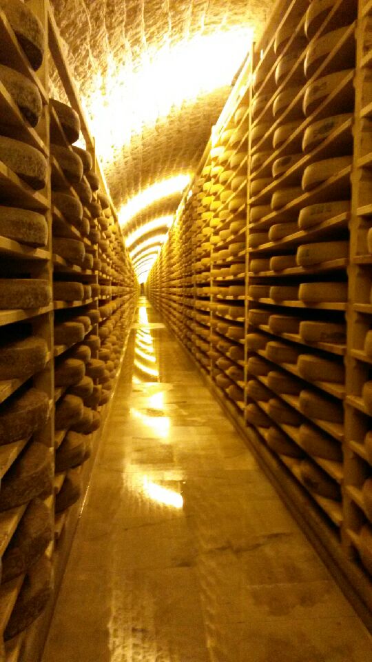 Galerie de meules de Comté dans les caves d’affinage du Fort des Rousses